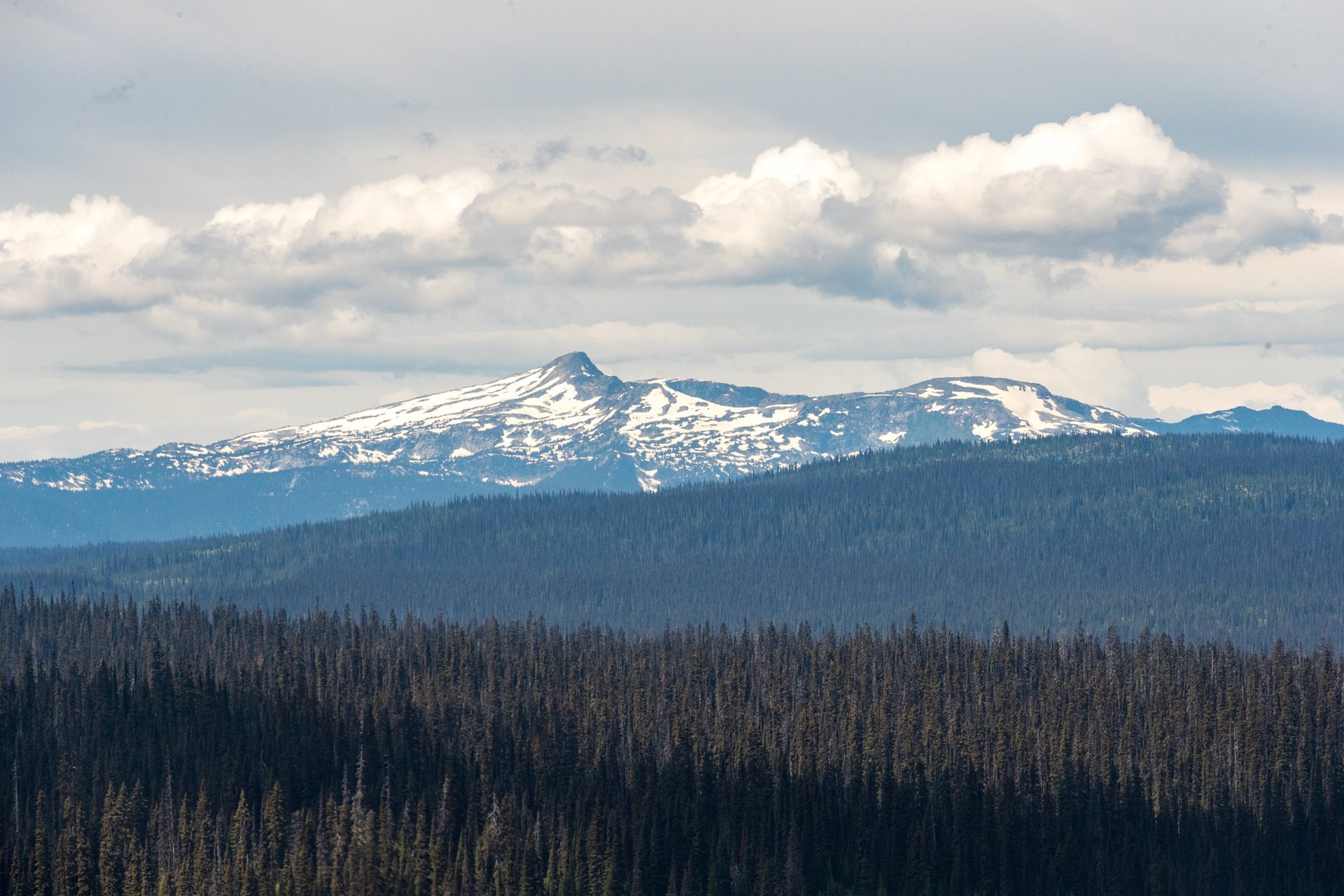 BC Forests for Tomorrow work